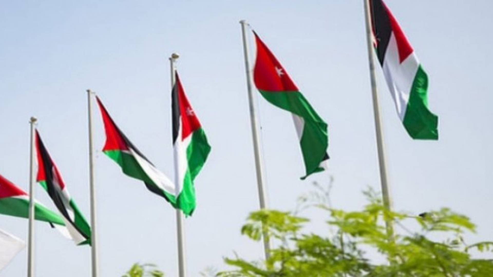 Image 1 from gallery