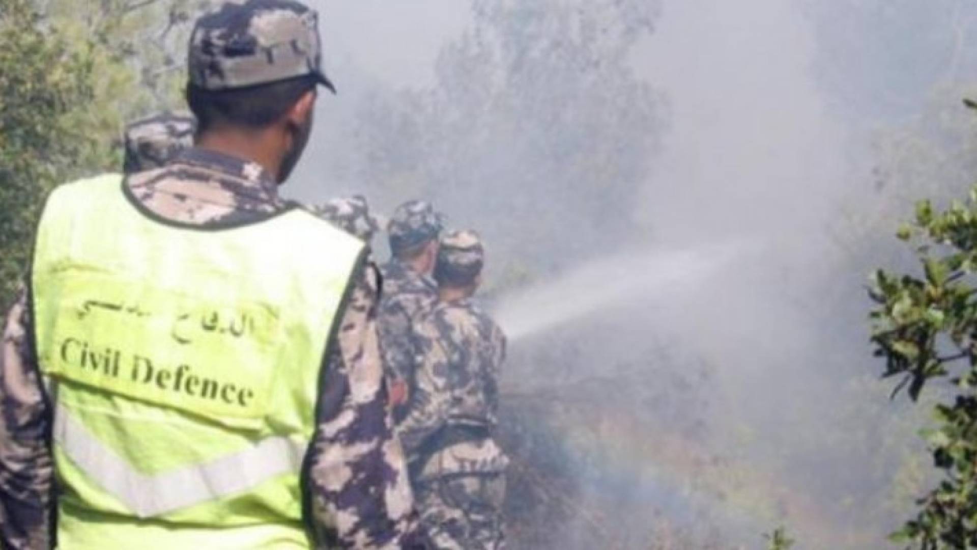 Image 1 from gallery