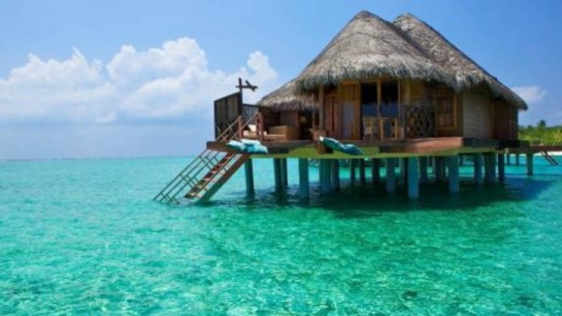 Image 1 from gallery