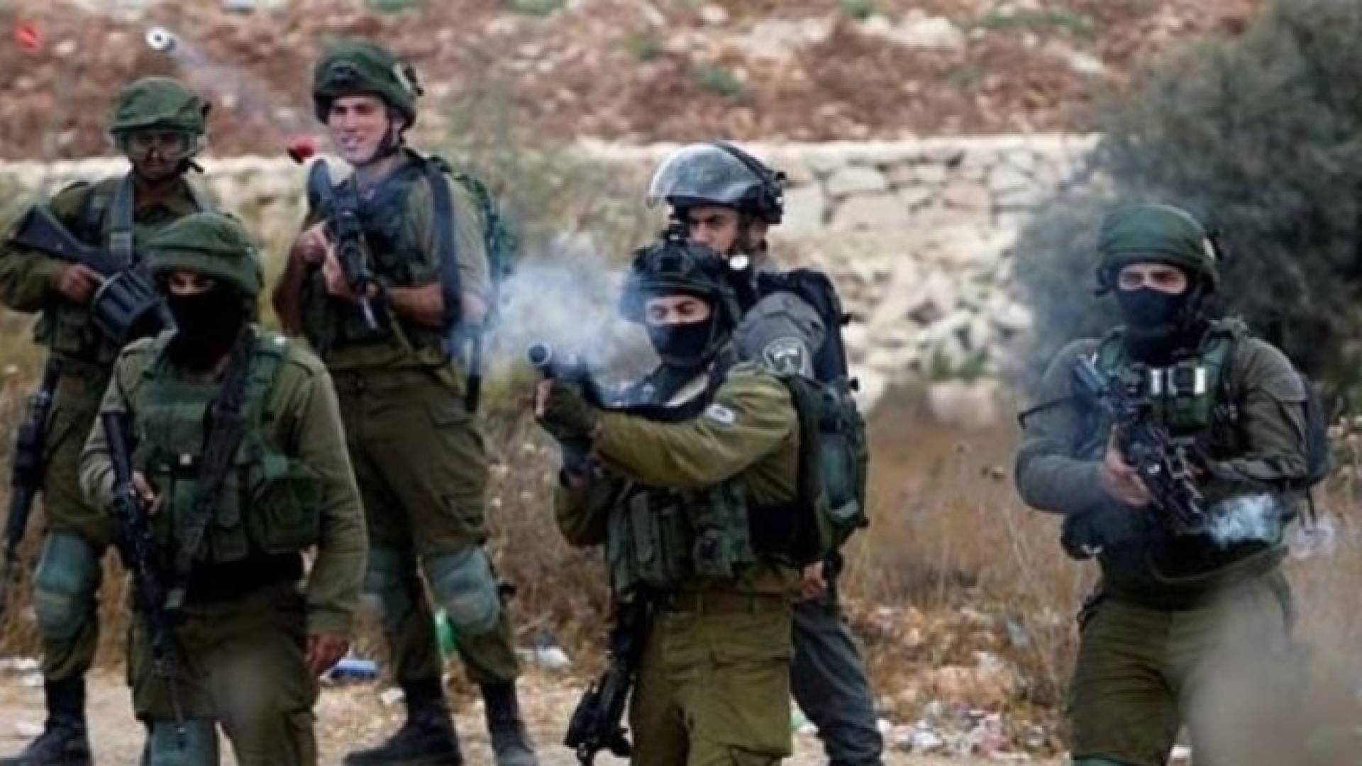 Image 1 from gallery