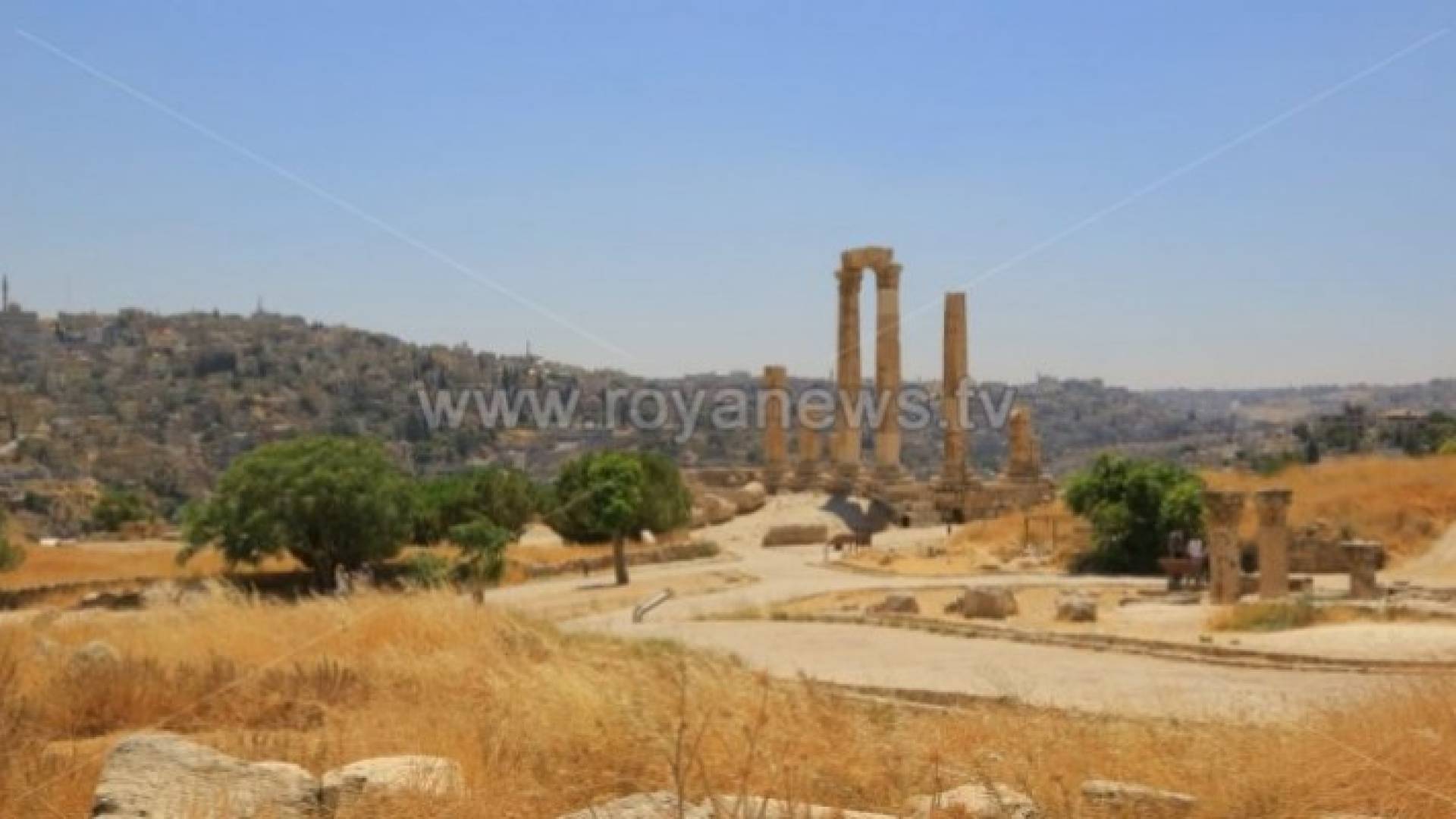 Image 1 from gallery