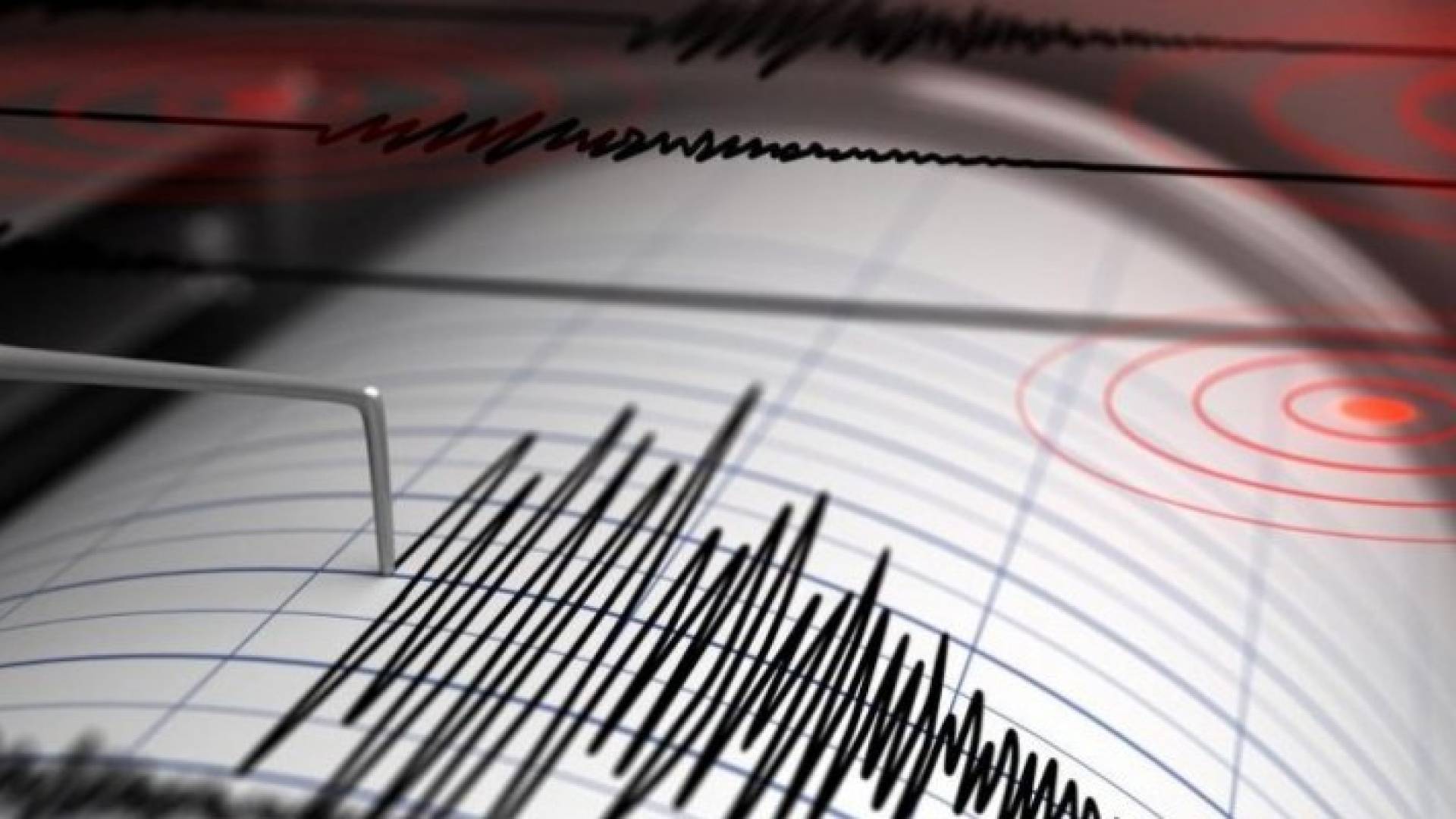 Image 1 from gallery