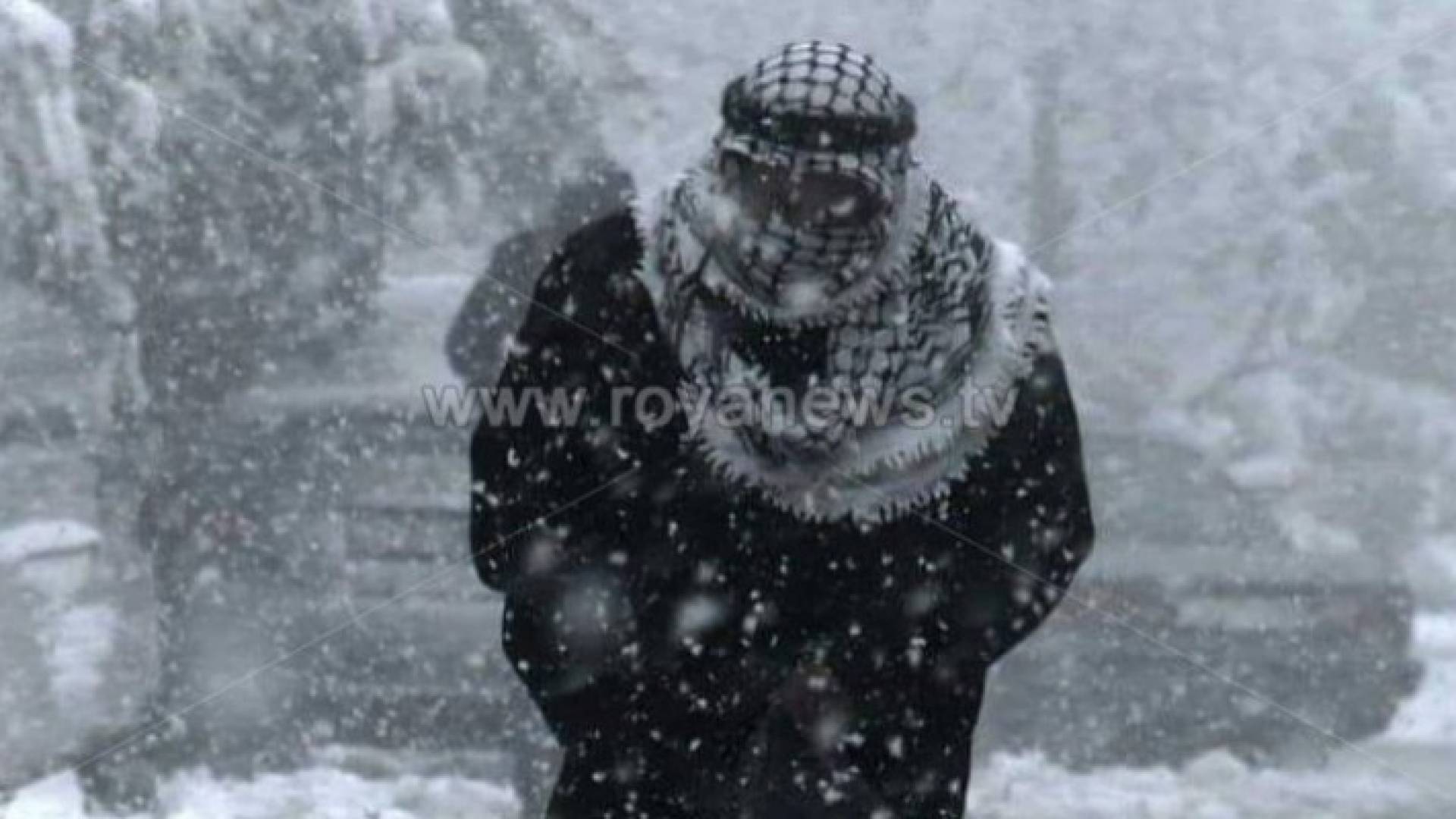 Image 1 from gallery