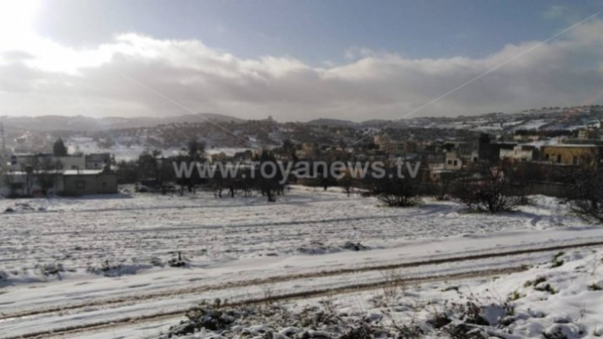 Image 1 from gallery