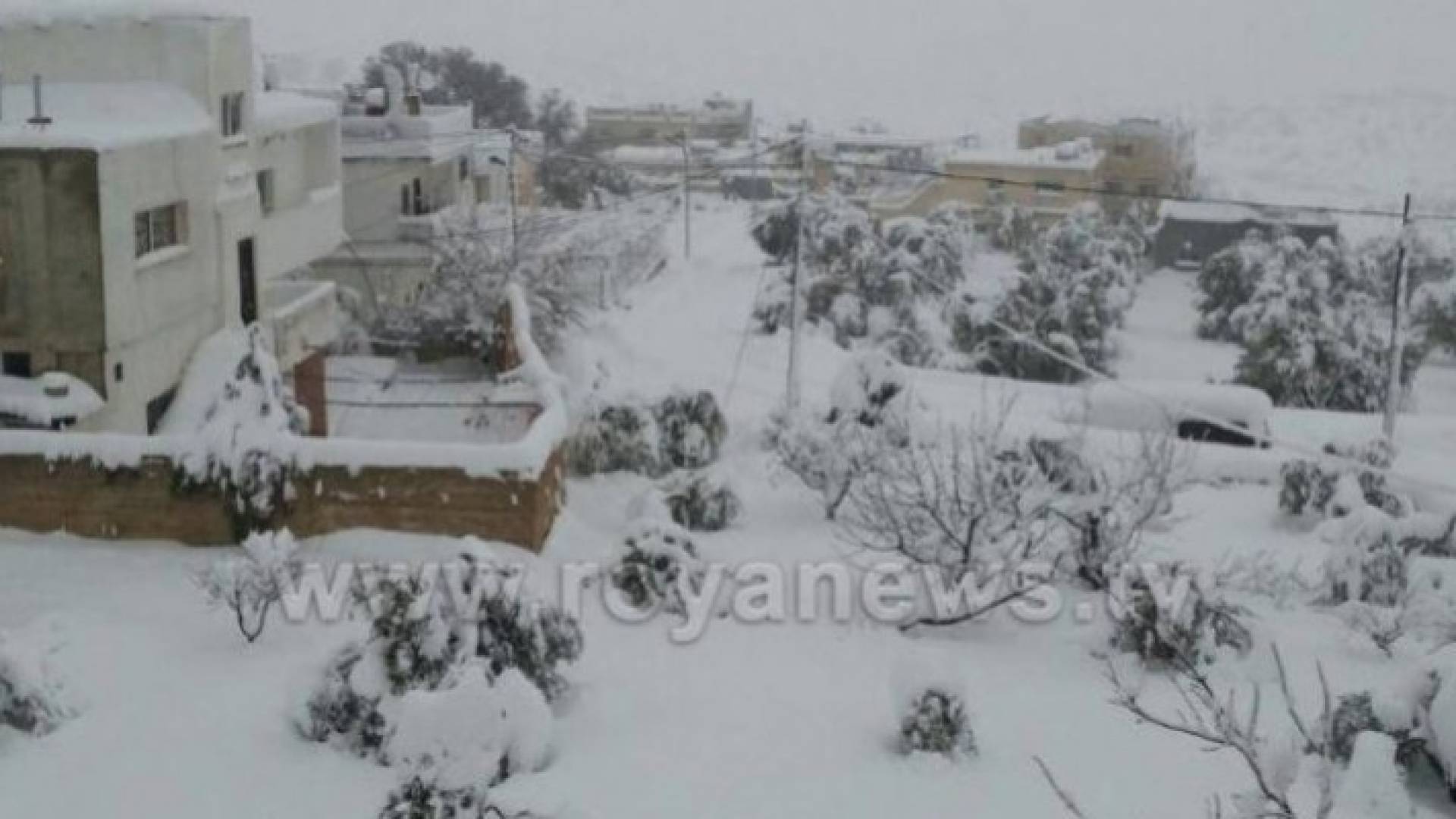 Image 1 from gallery