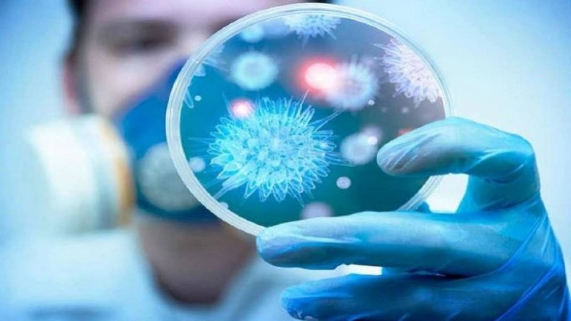 Image 1 from gallery