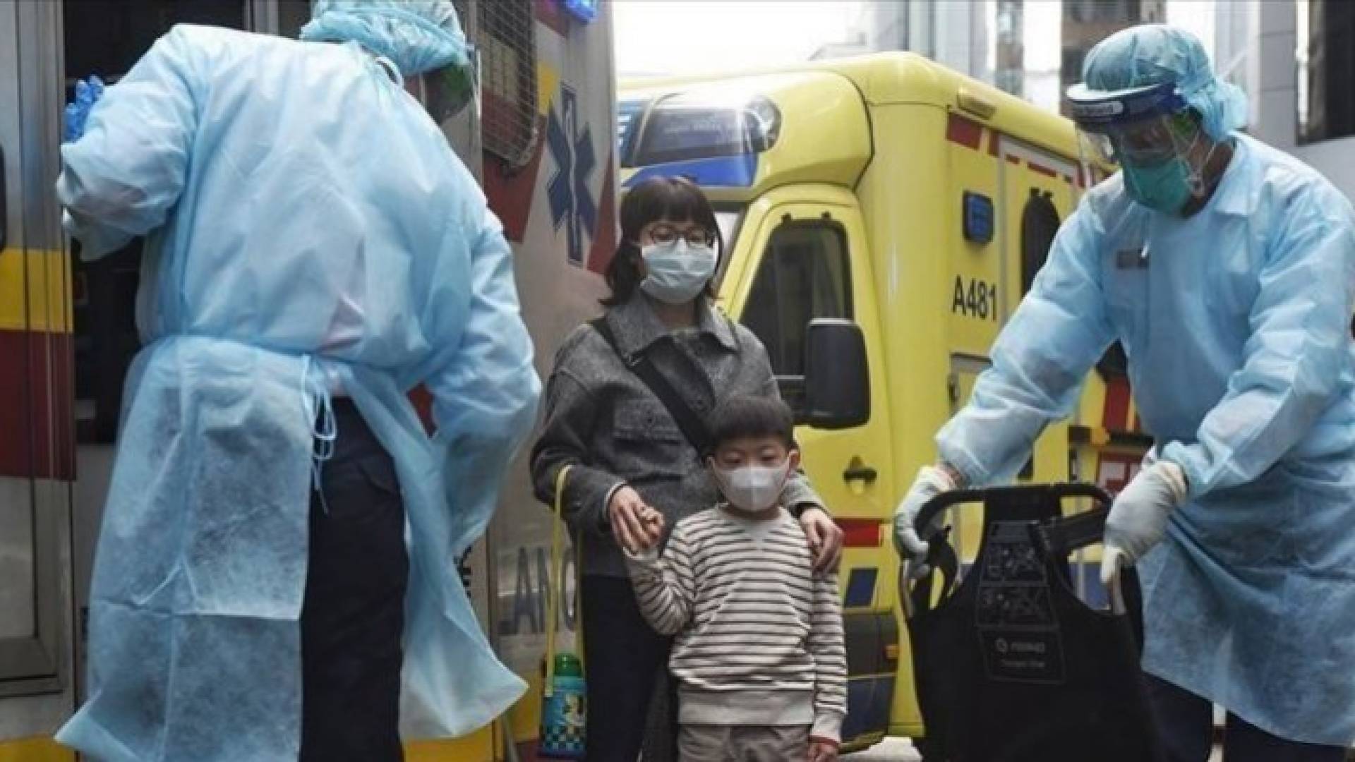 Image 1 from gallery