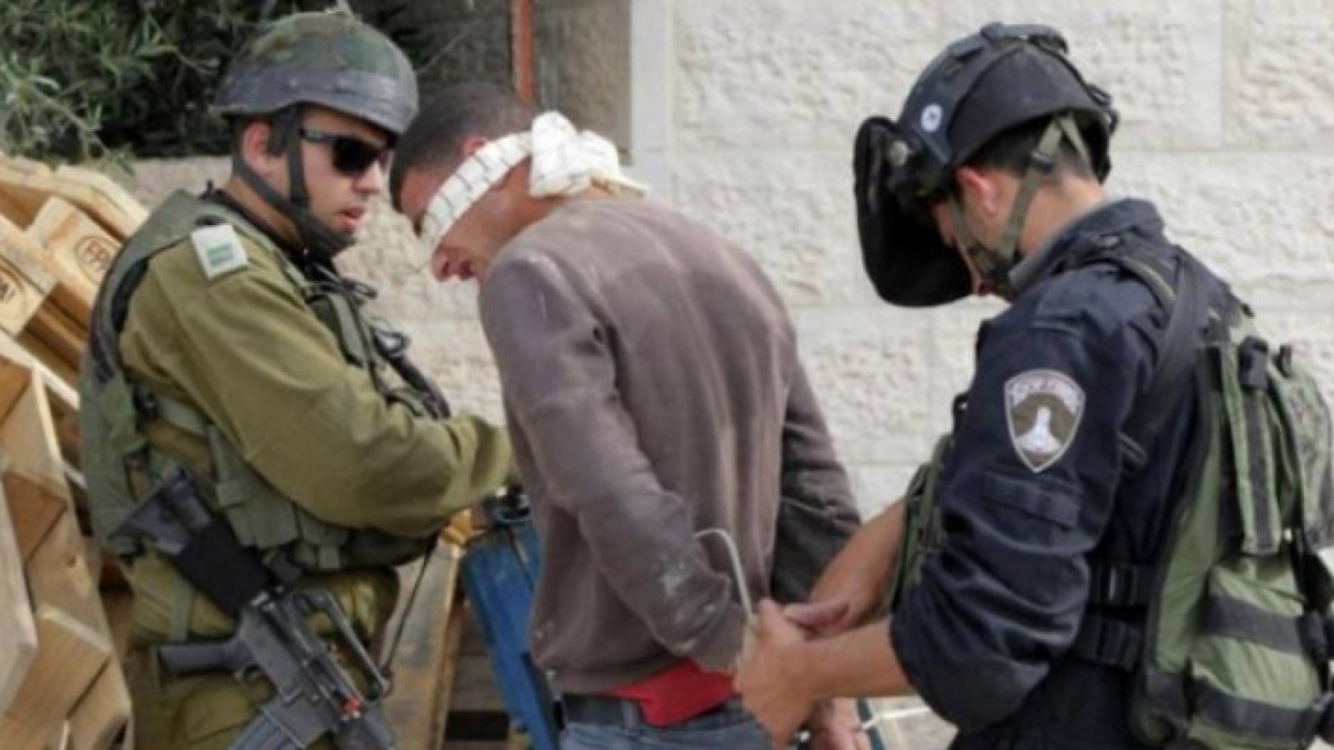 Image 1 from gallery