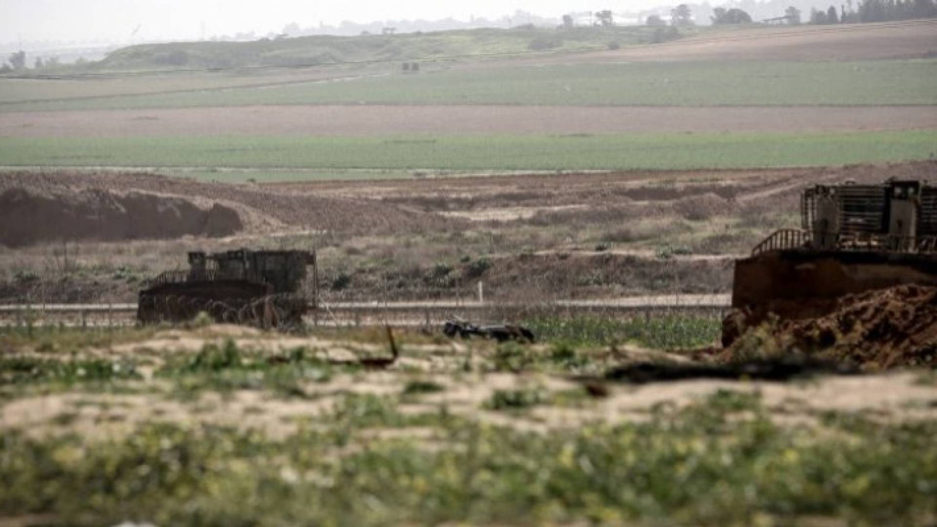 Image 1 from gallery