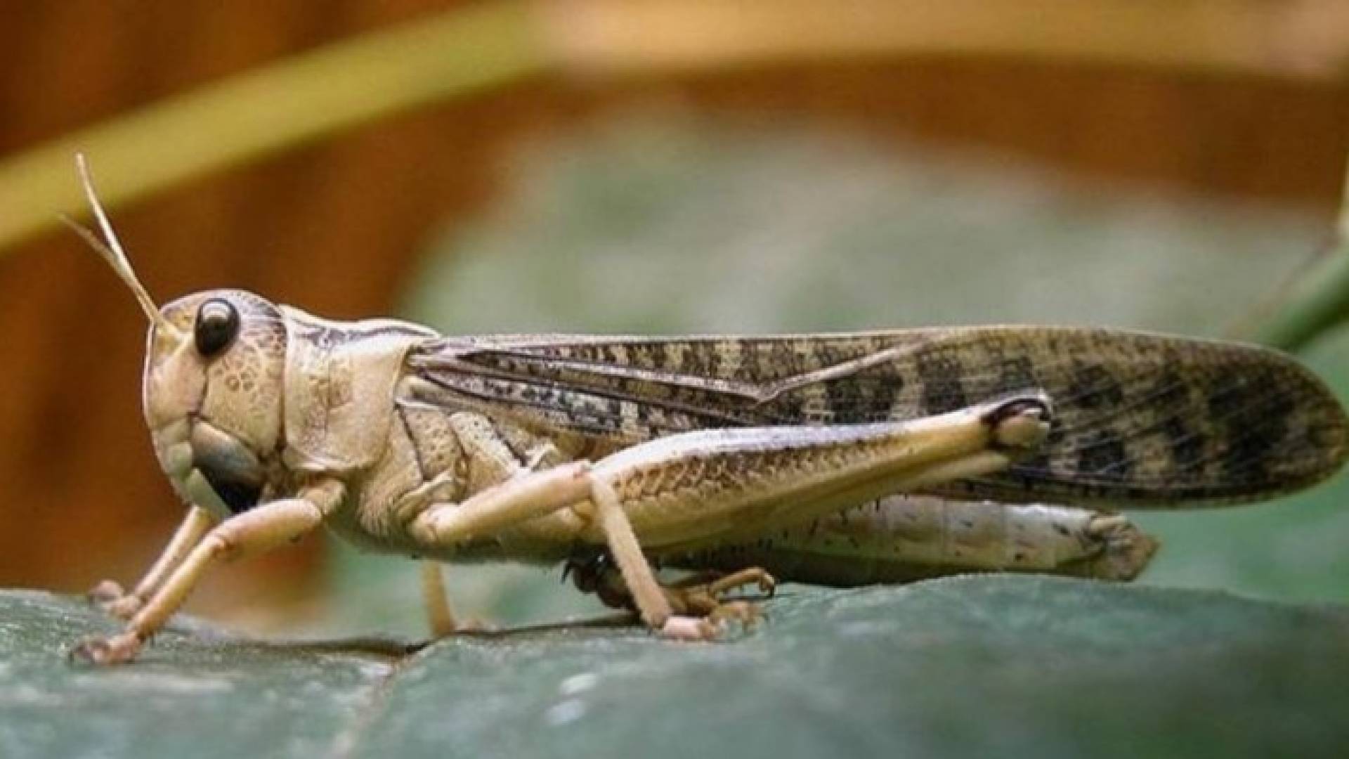 Image 1 from gallery