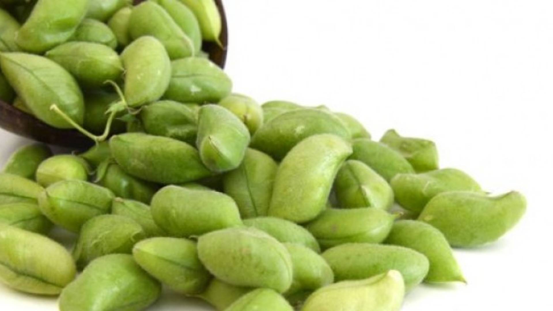 Image 1 from gallery