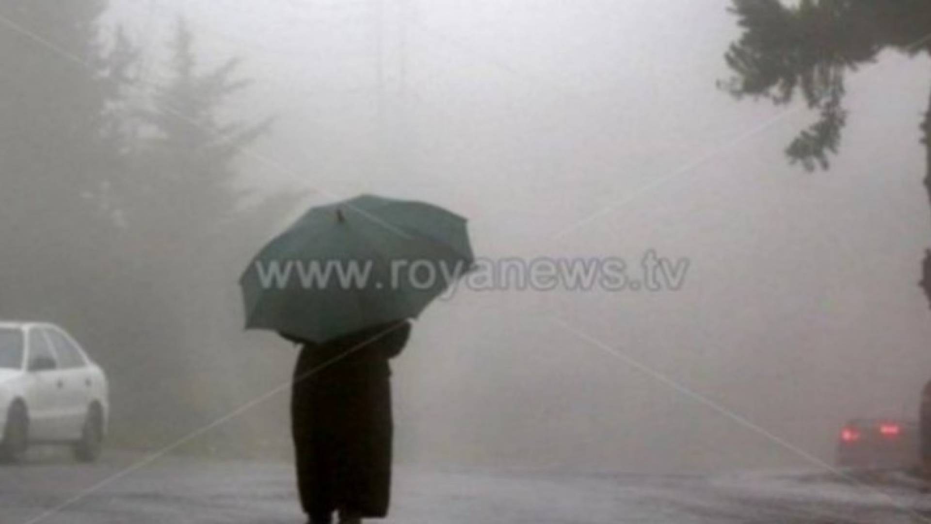 Image 1 from gallery