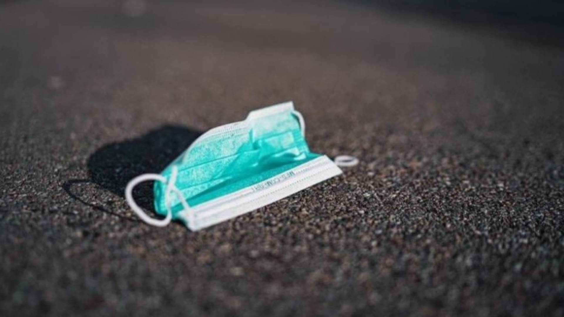 Image 1 from gallery