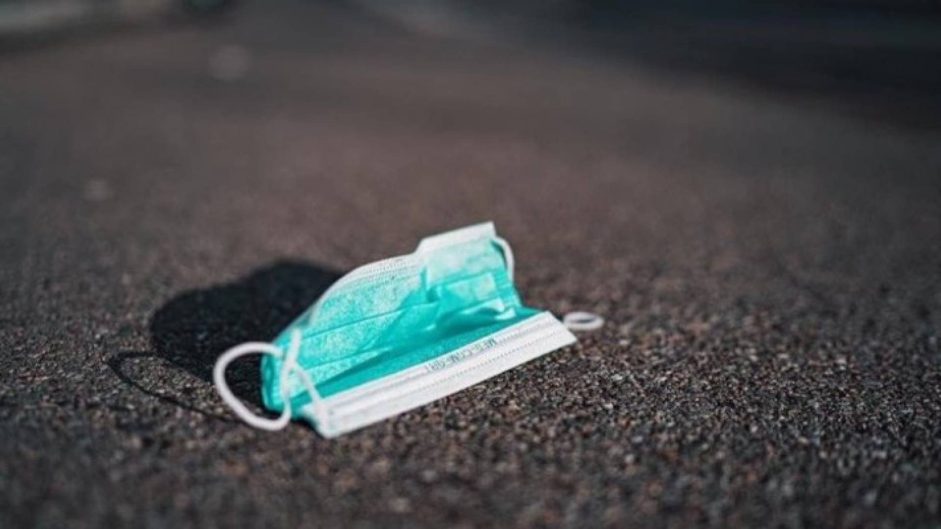 Image 1 from gallery