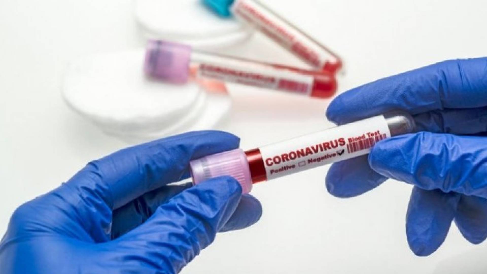 Image 1 from gallery