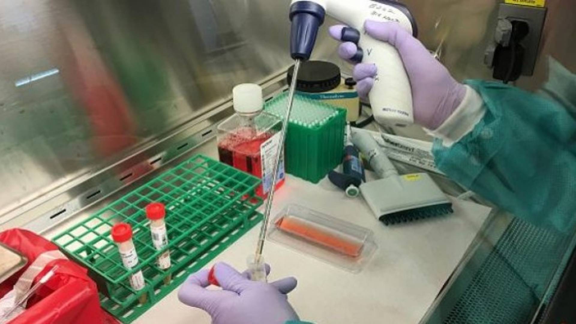 Image 1 from gallery