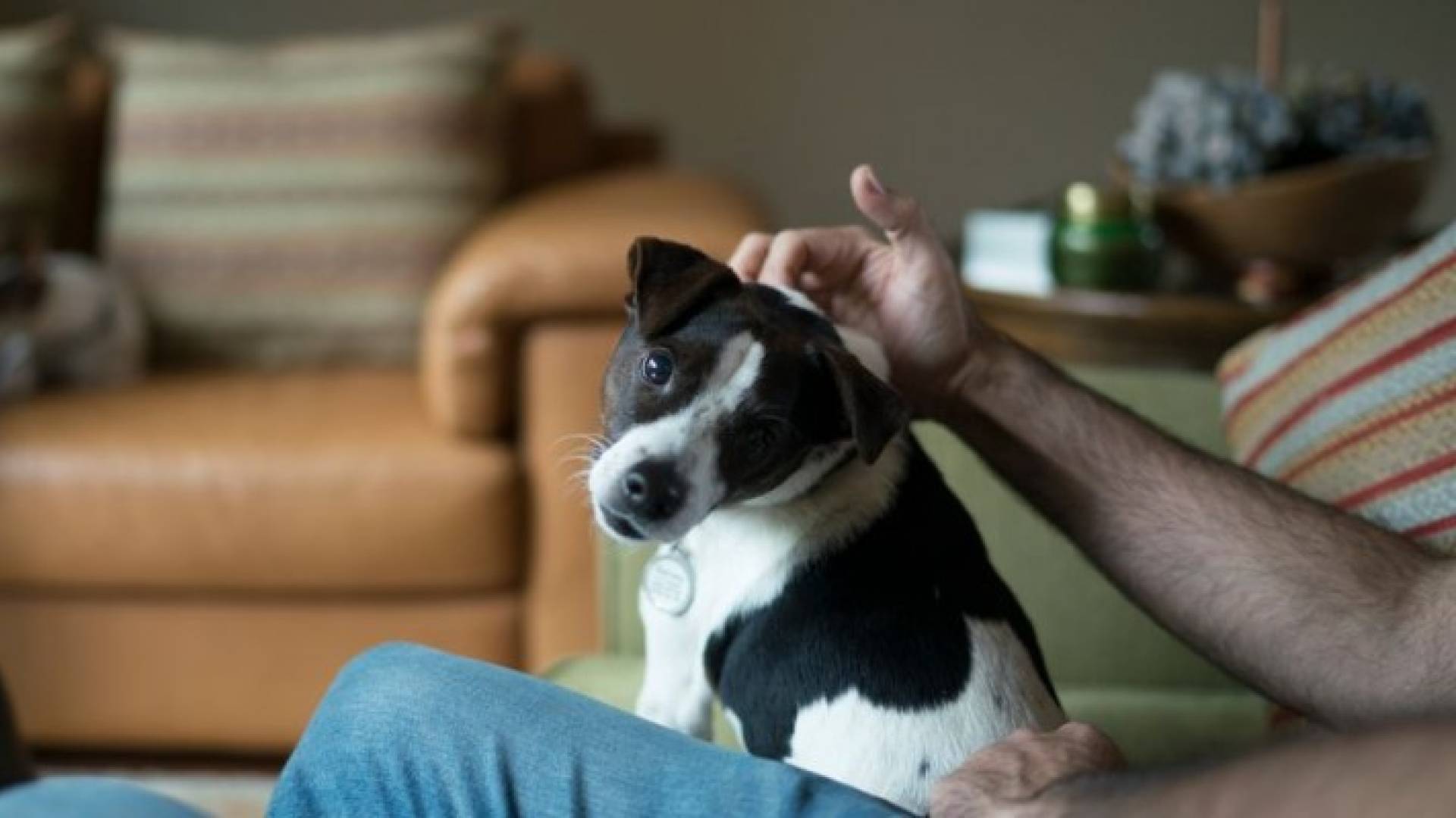 Image 1 from gallery