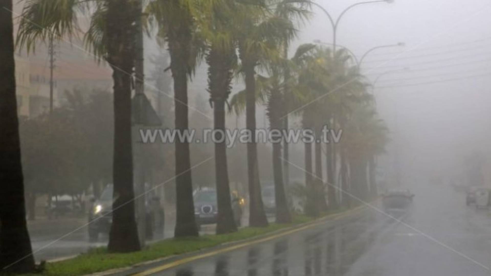 Image 1 from gallery