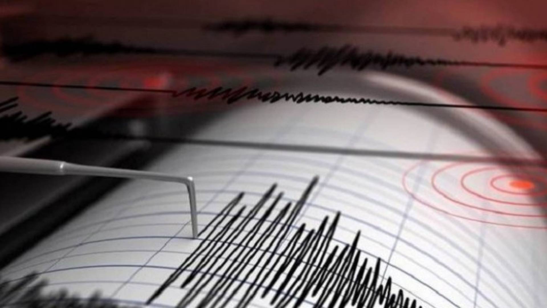 Image 1 from gallery