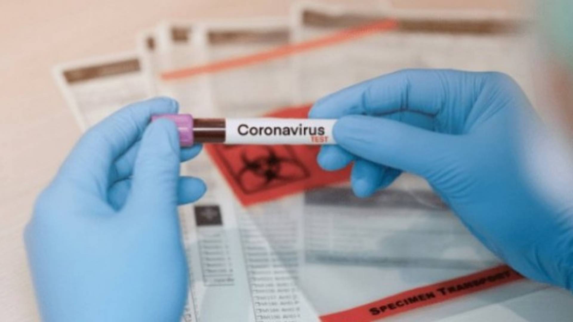 Image 1 from gallery