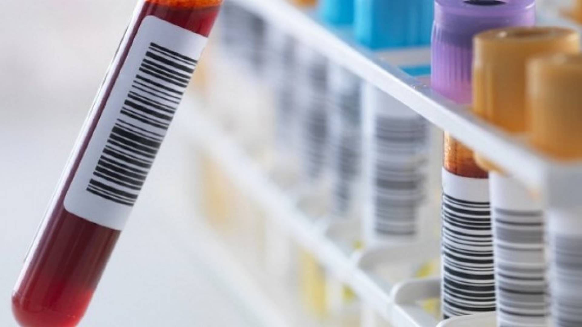 Image 1 from gallery