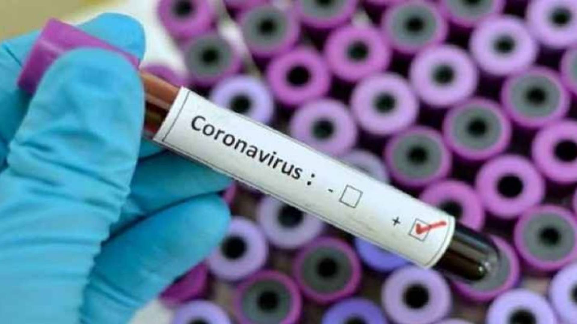 Image 1 from gallery