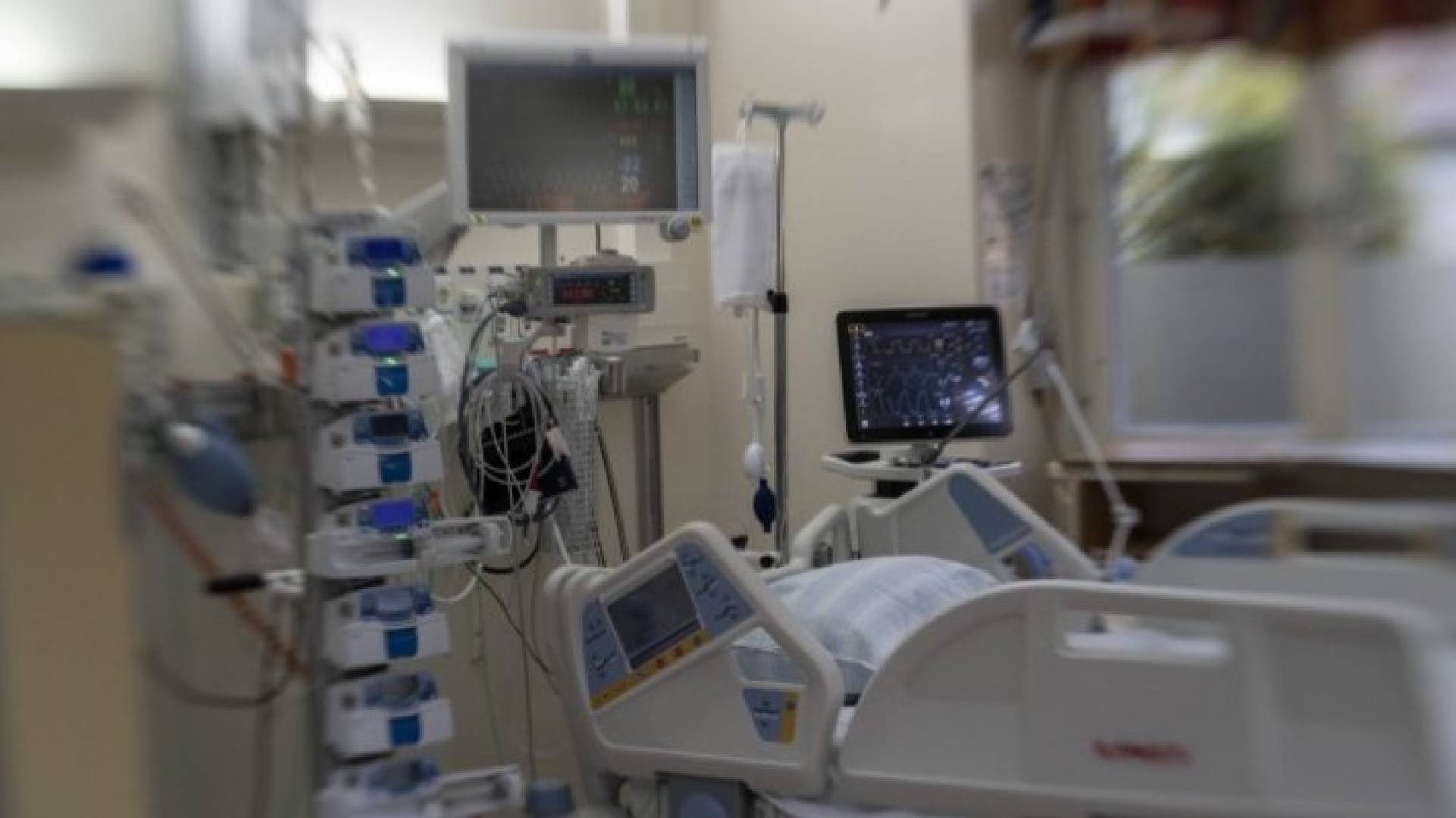 Image 1 from gallery