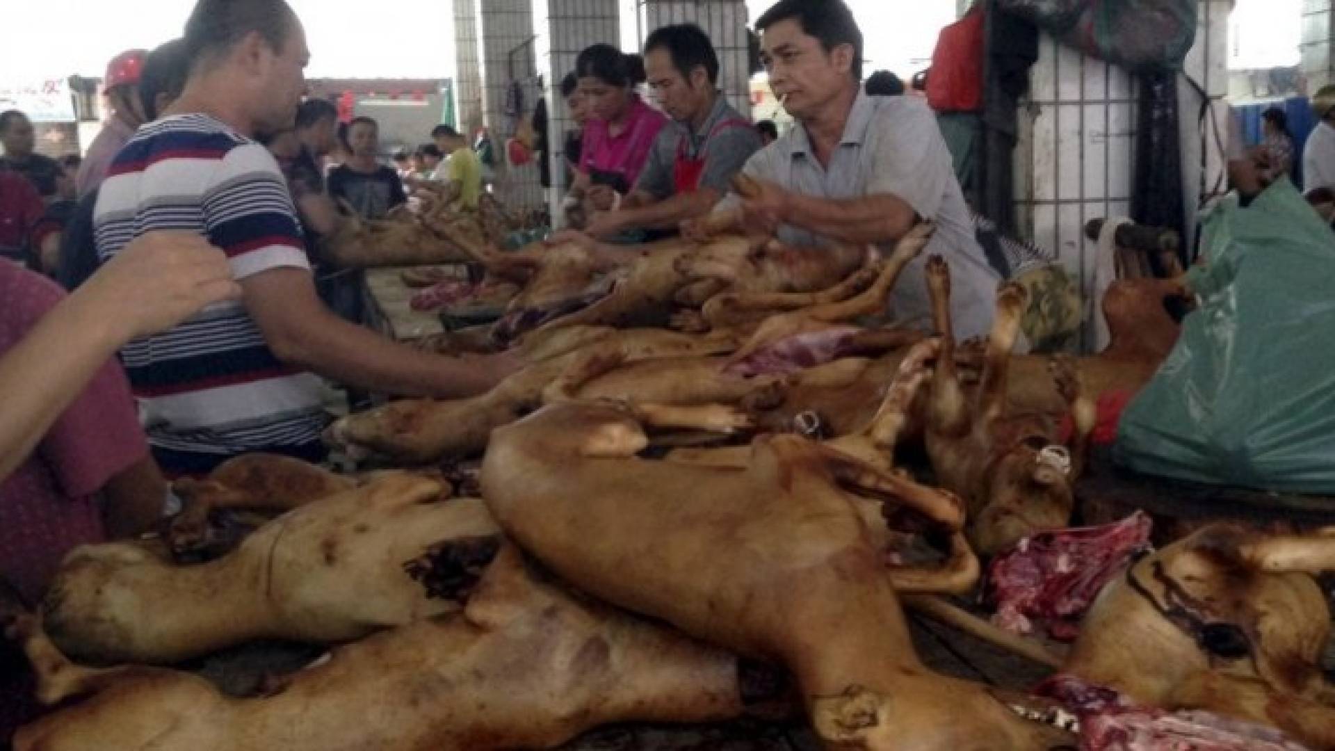 Image 1 from gallery