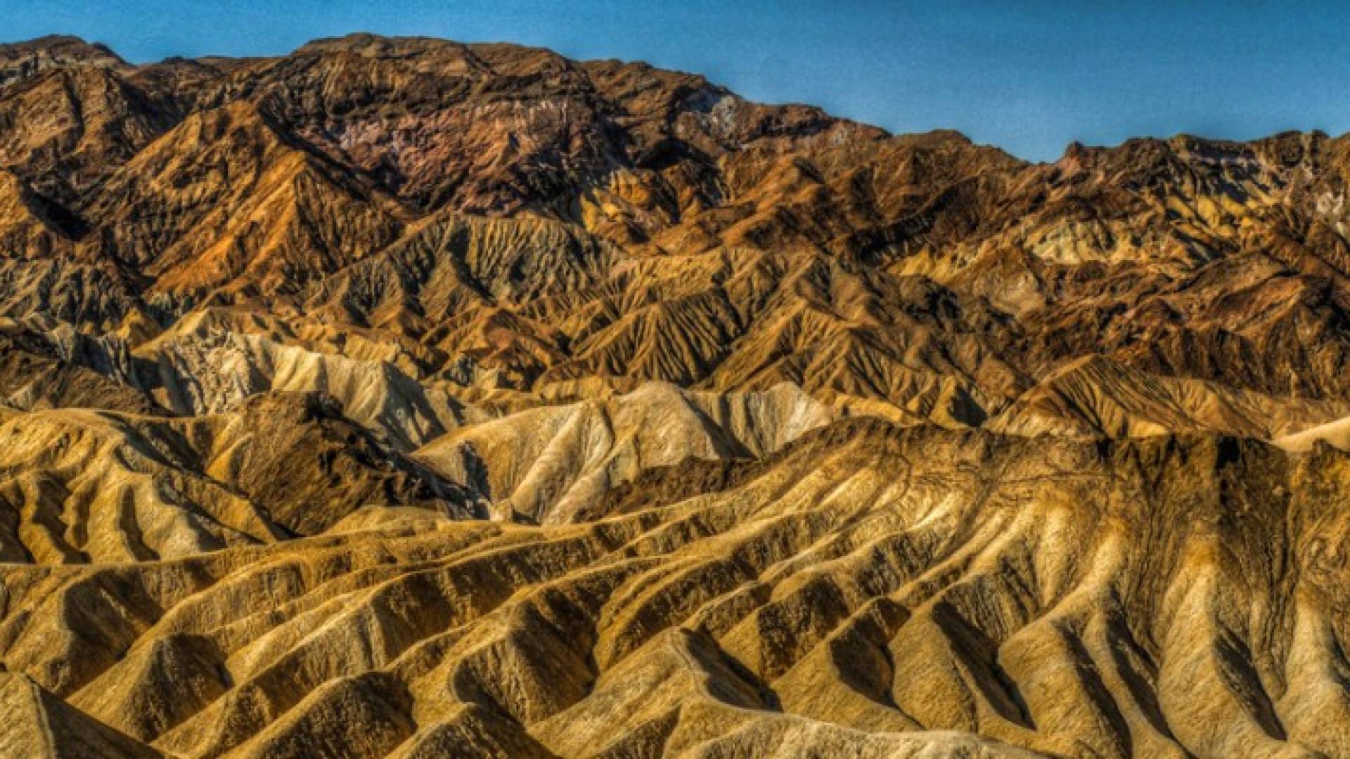 Image 1 from gallery