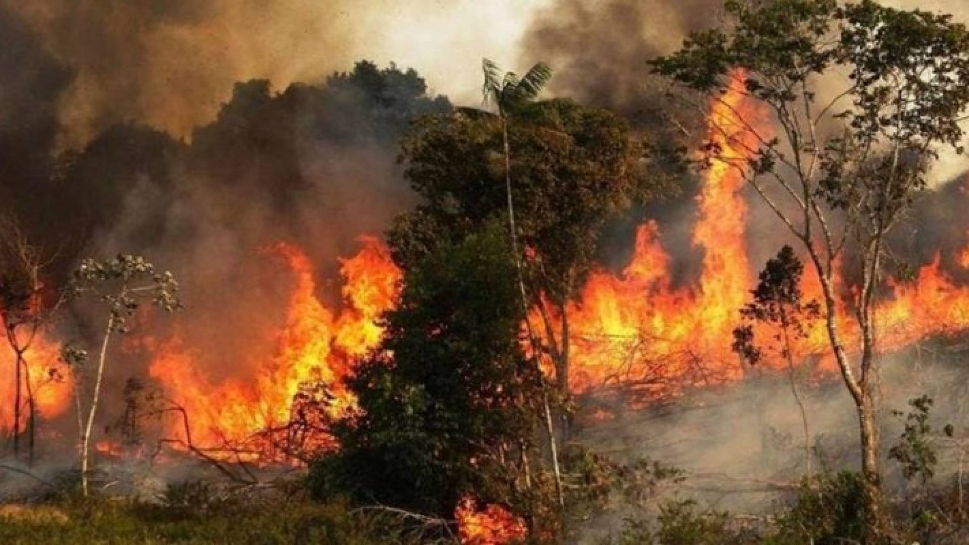 Image 1 from gallery