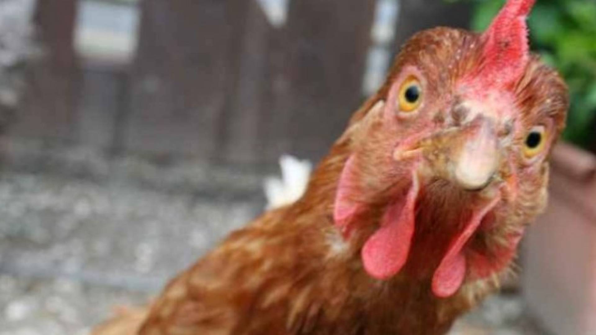 Image 1 from gallery