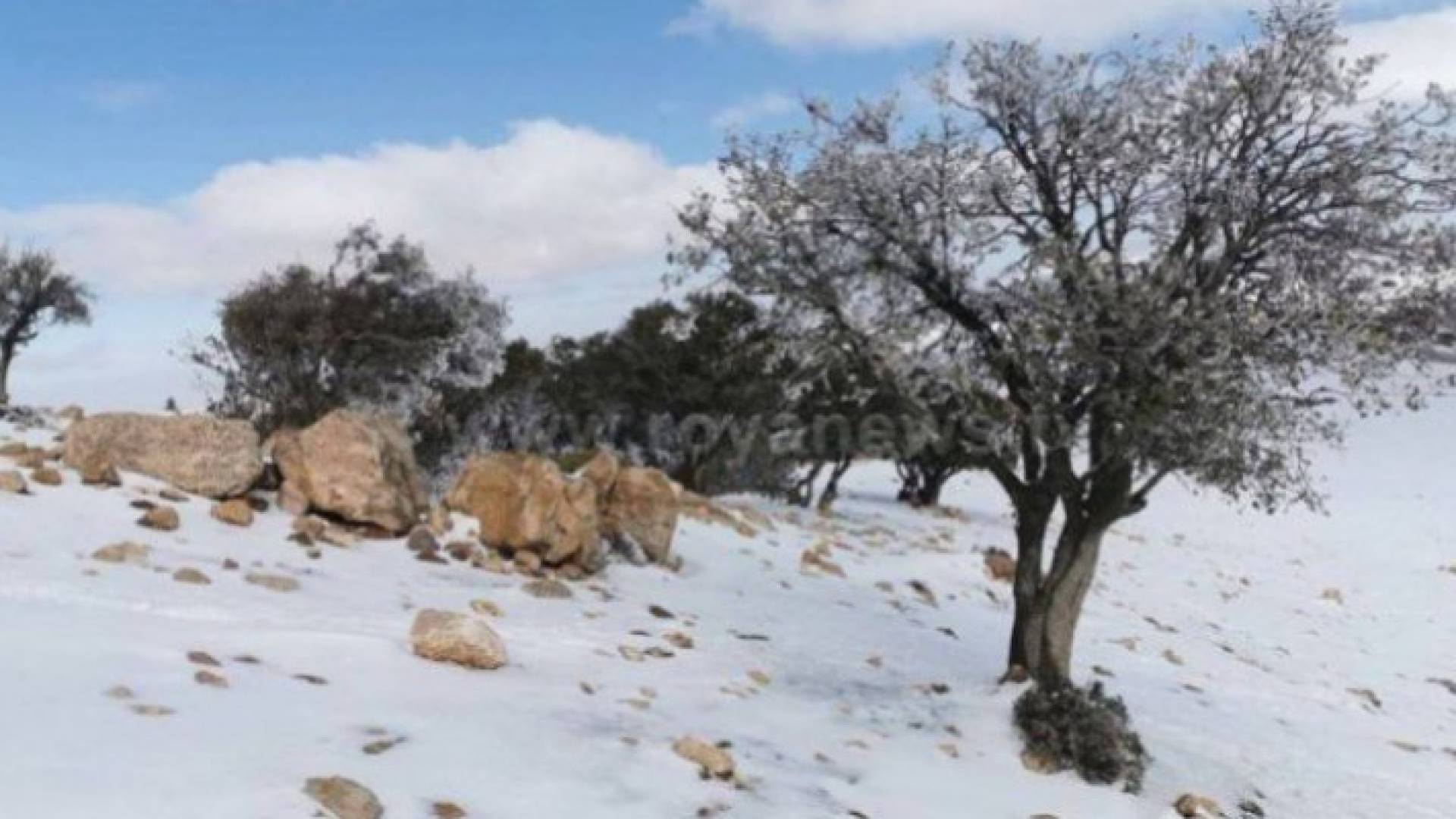 Image 1 from gallery