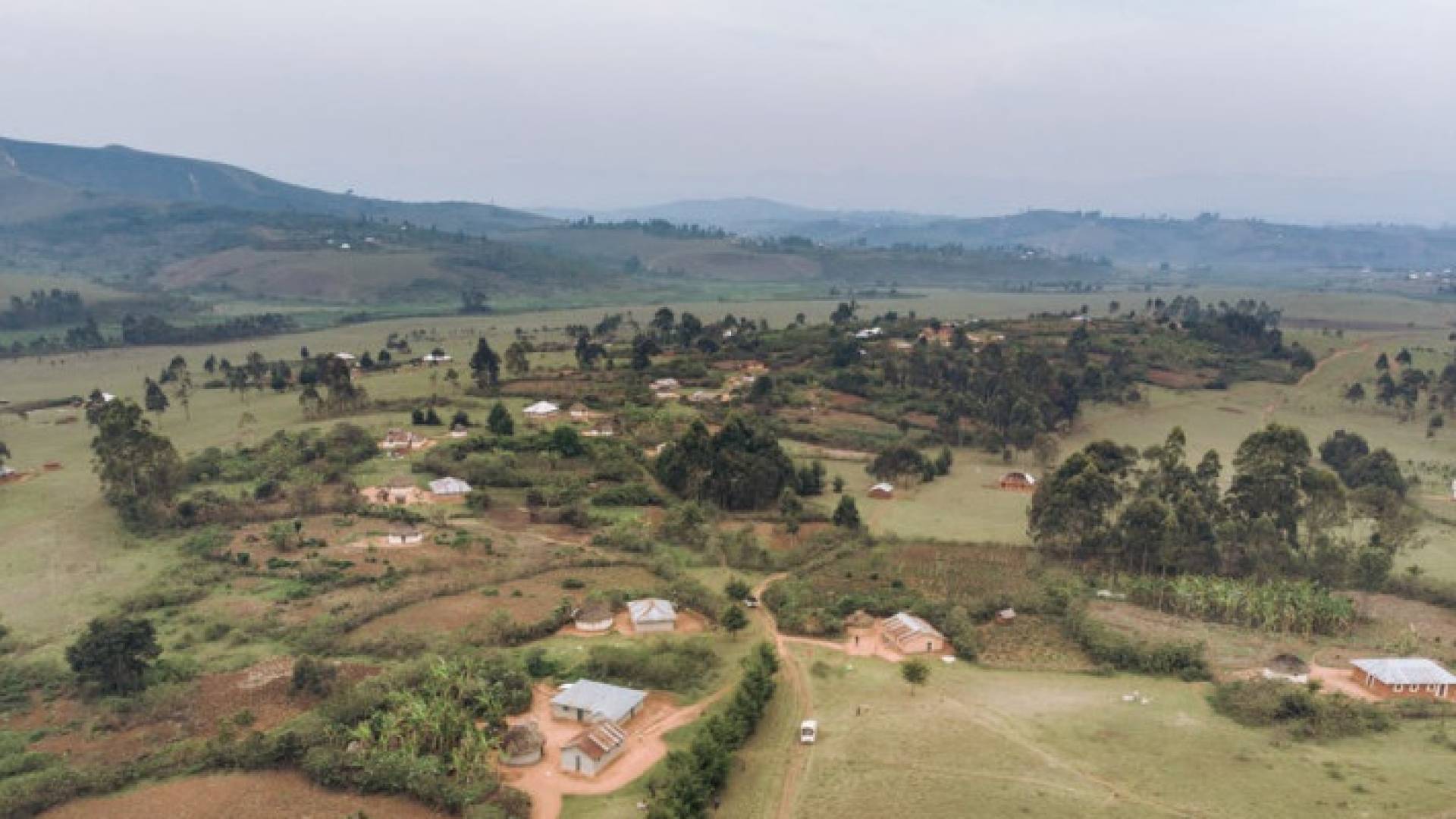 Image 1 from gallery