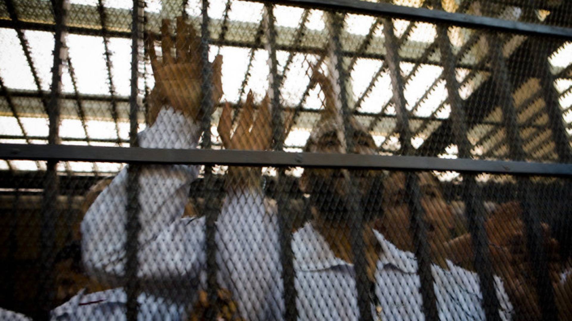 Image 1 from gallery