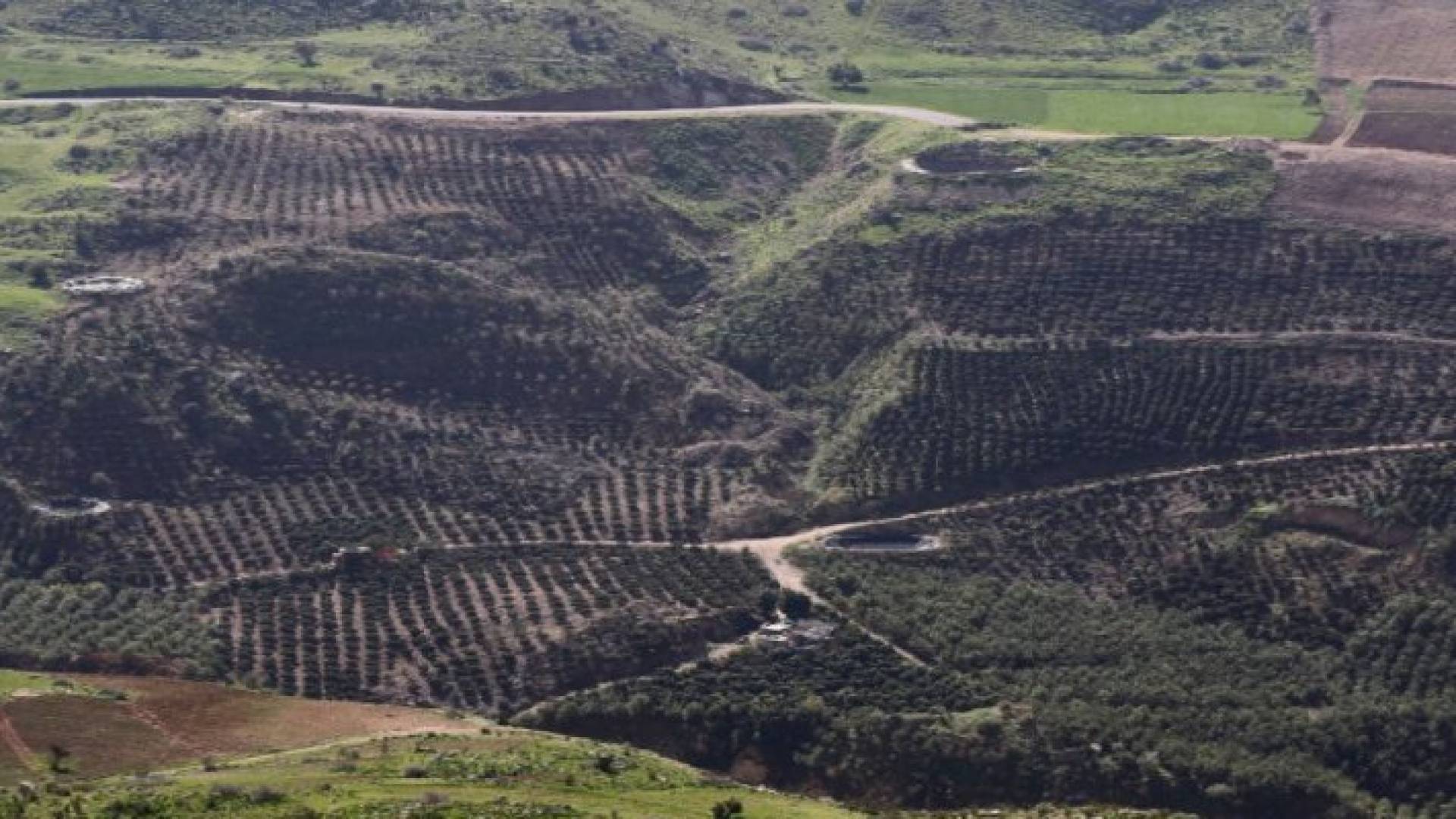 Image 1 from gallery