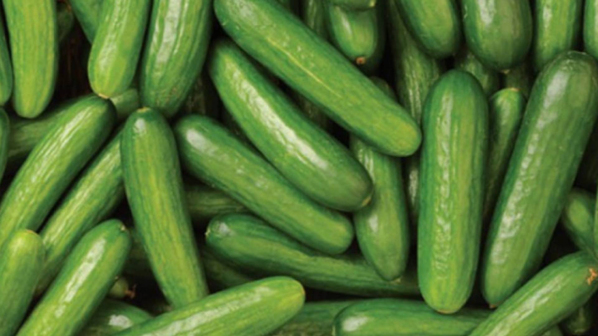 Image 1 from gallery