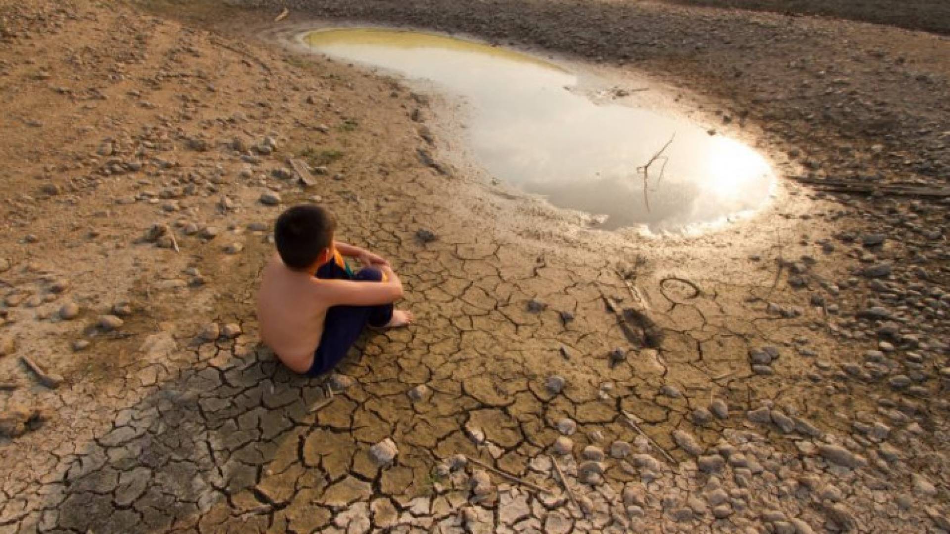 Image 1 from gallery