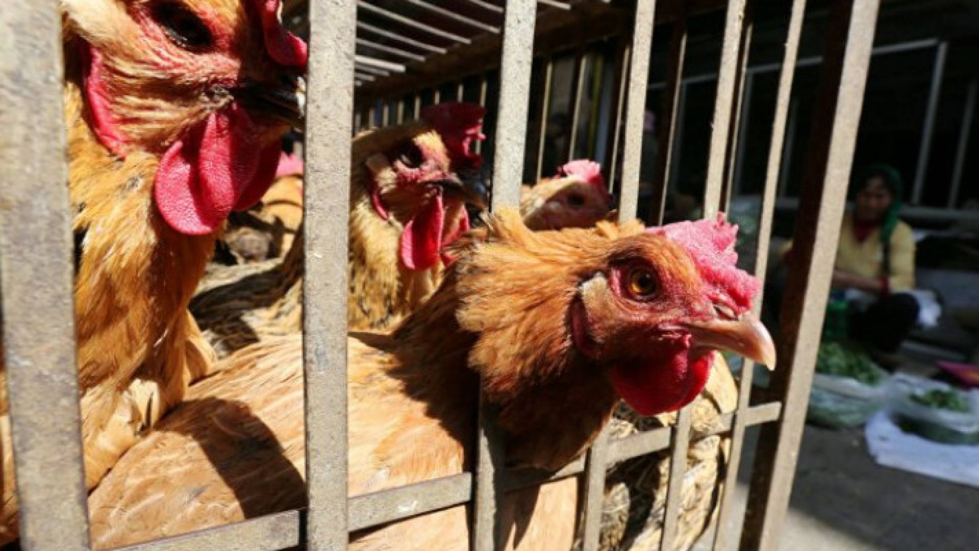 Image 1 from gallery