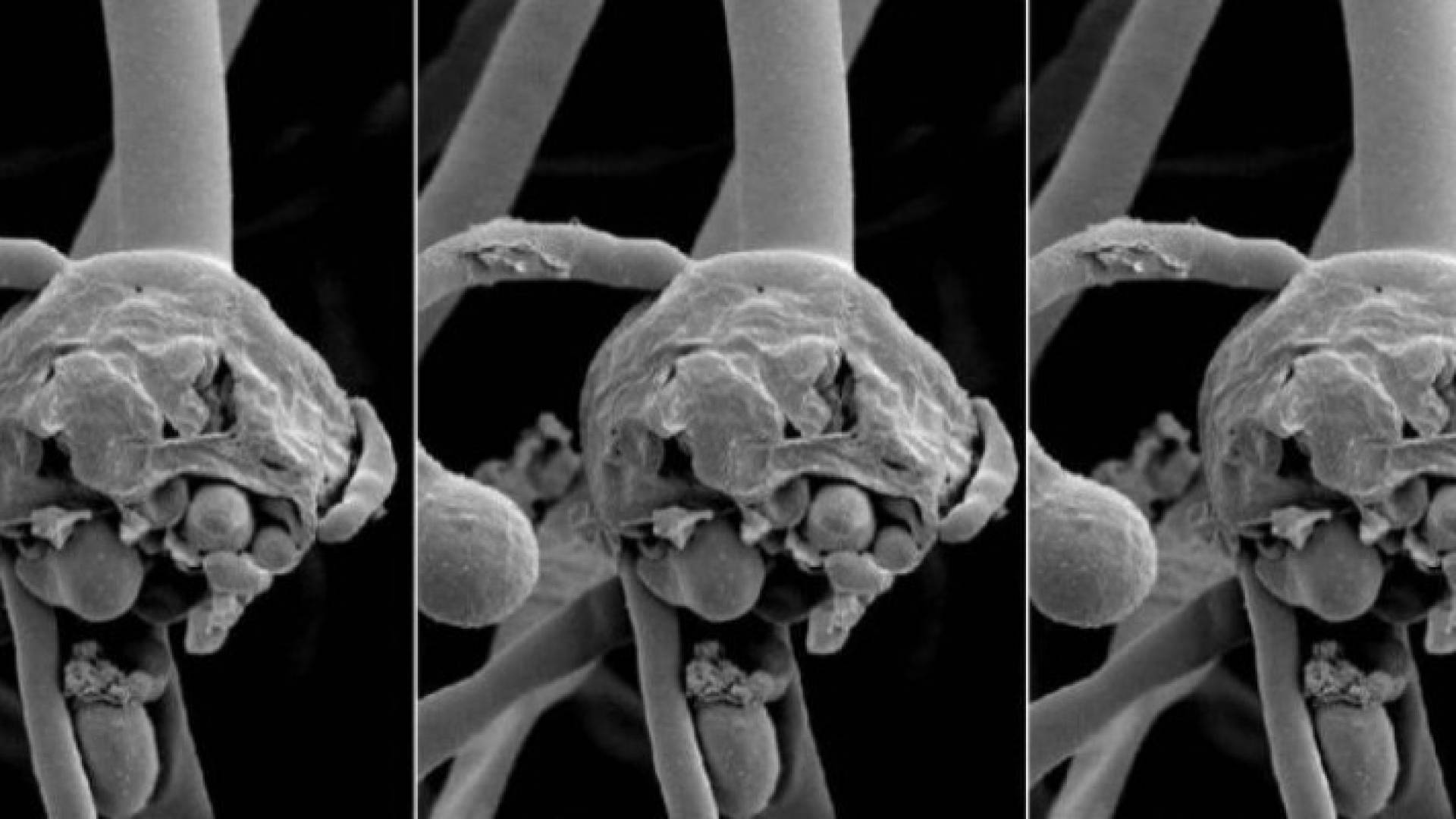 Image 1 from gallery