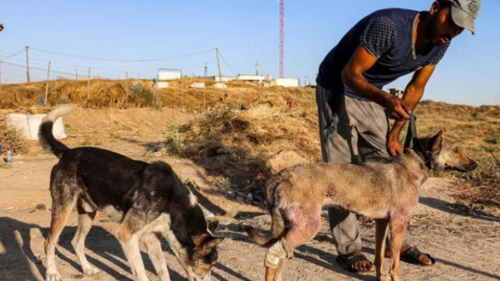 Image 1 from gallery