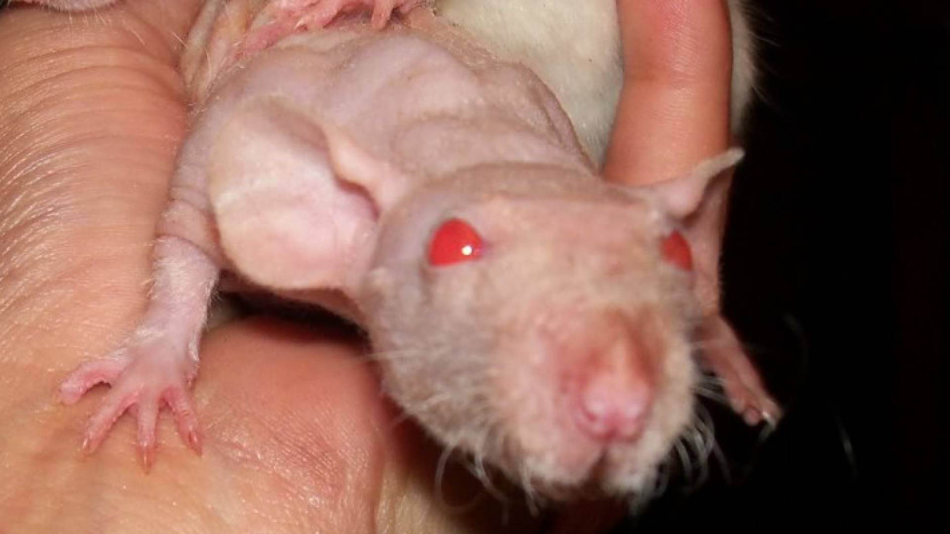 Image 1 from gallery