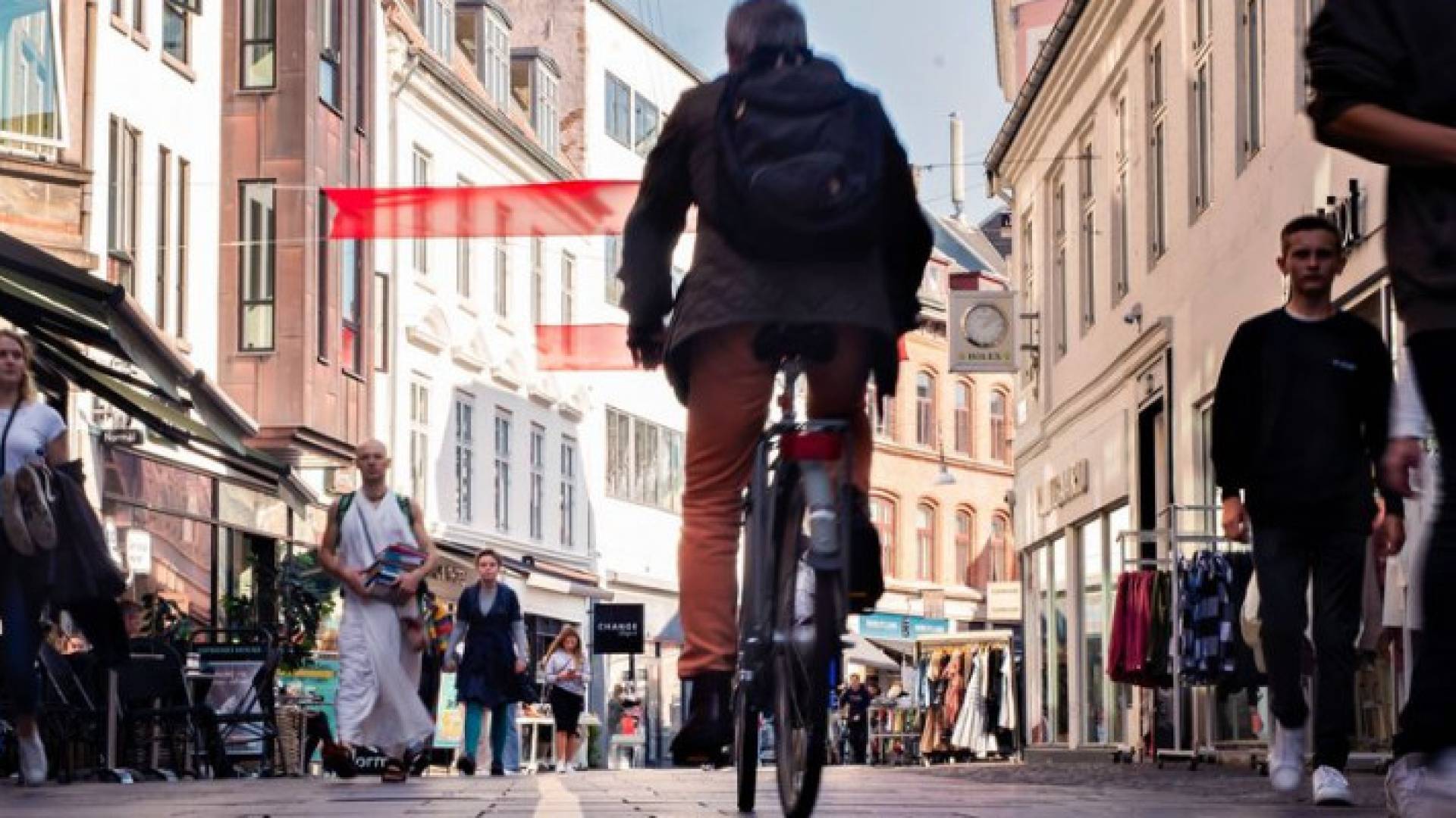 Image 1 from gallery