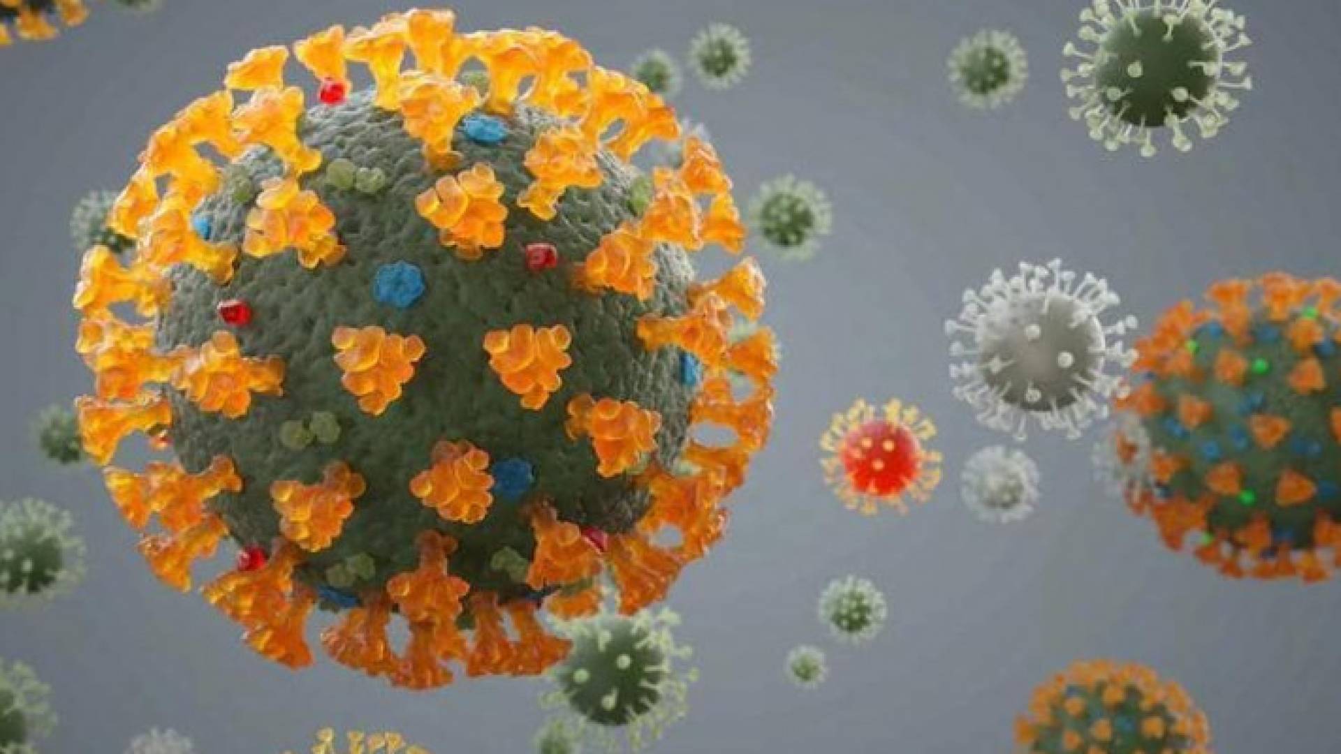 Image 1 from gallery