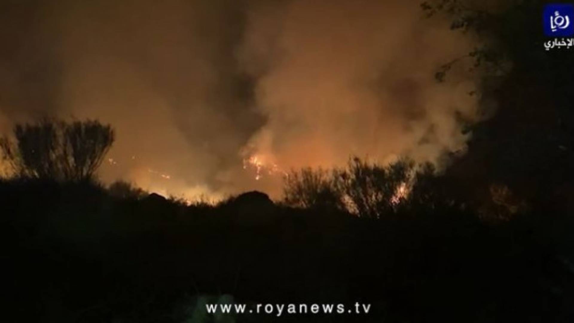 Image 1 from gallery