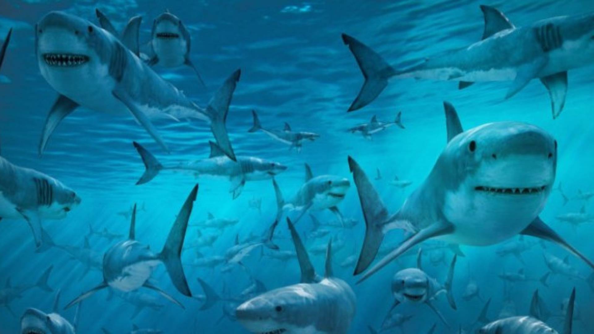 Image 1 from gallery