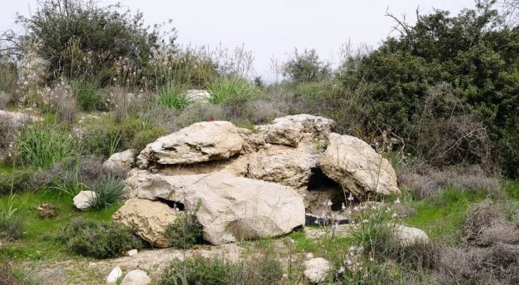 Image 1 from gallery