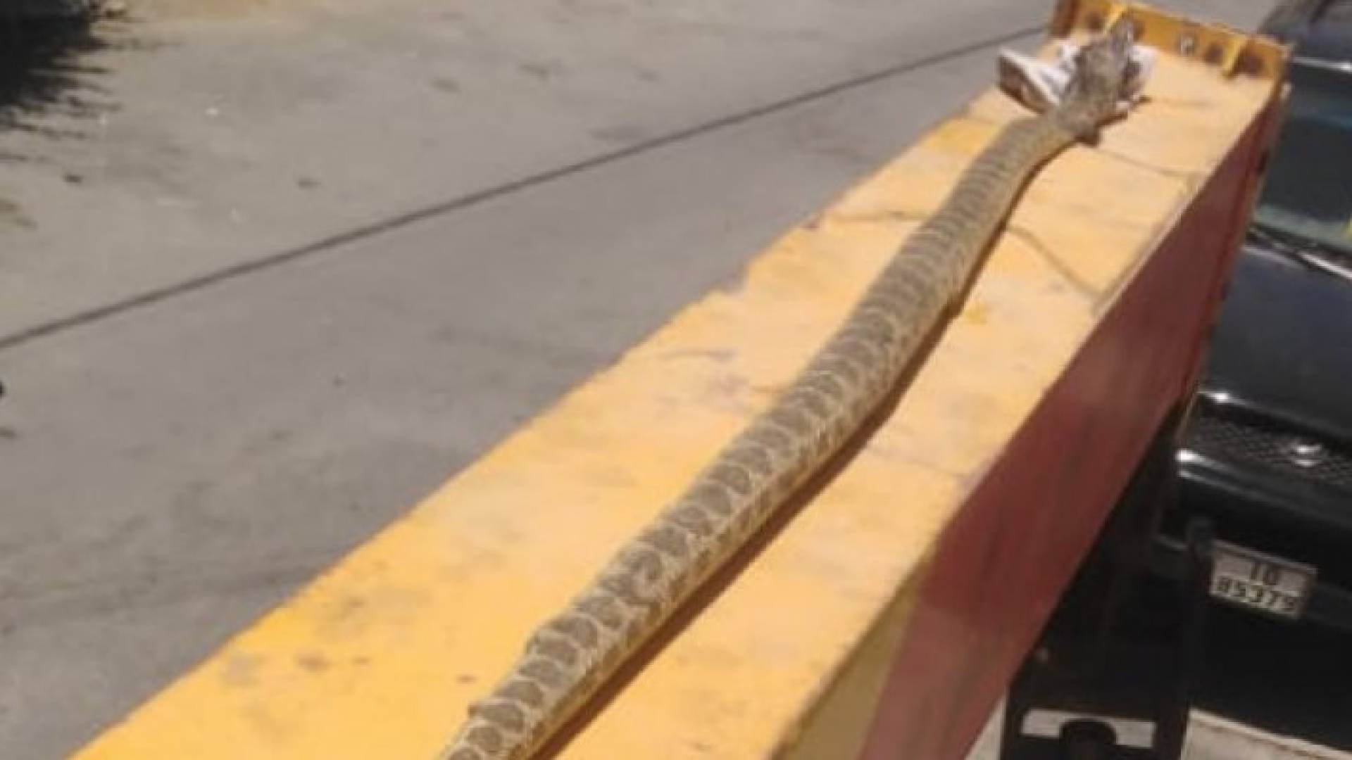 Image 1 from gallery