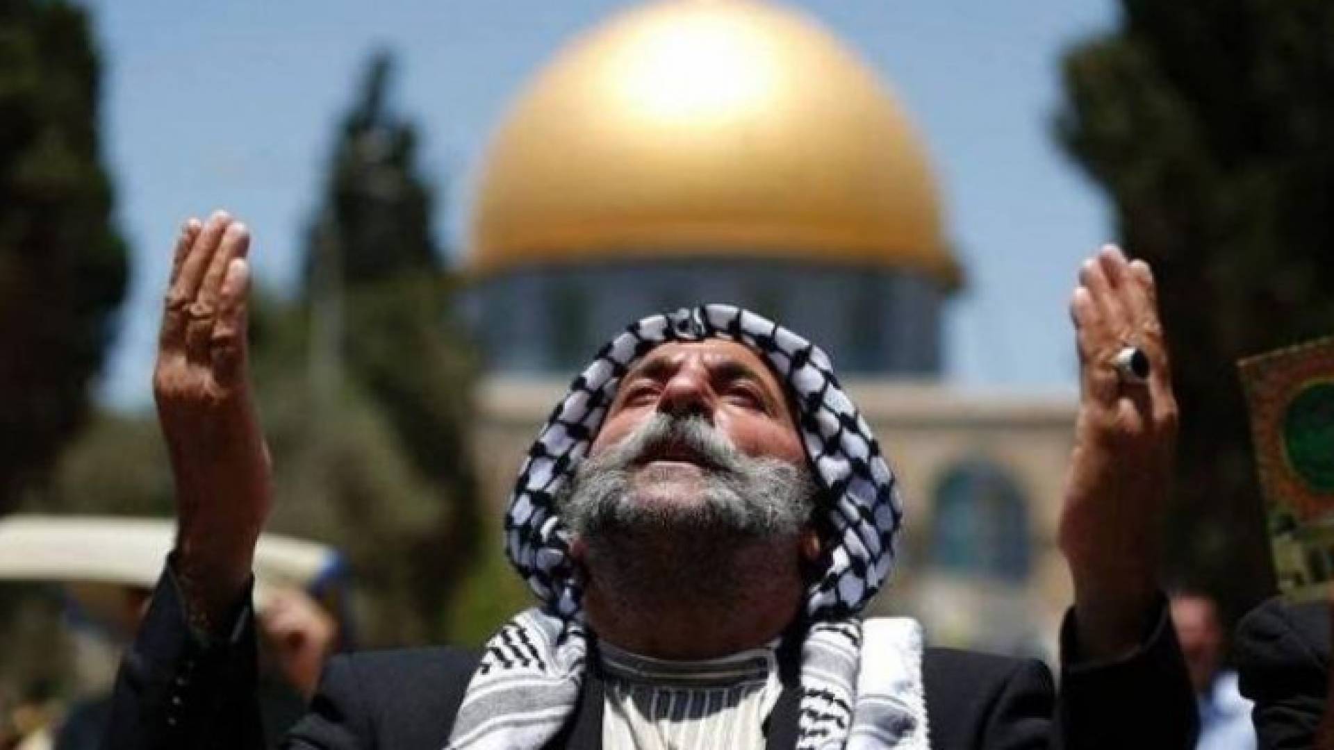 Image 1 from gallery