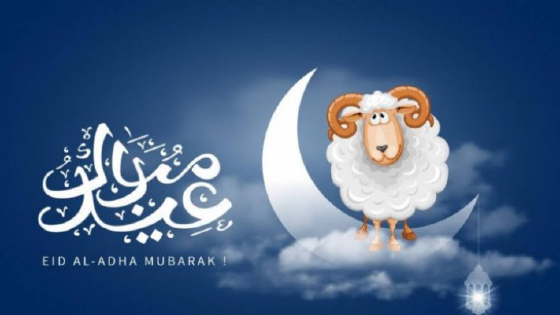 Image 1 from gallery