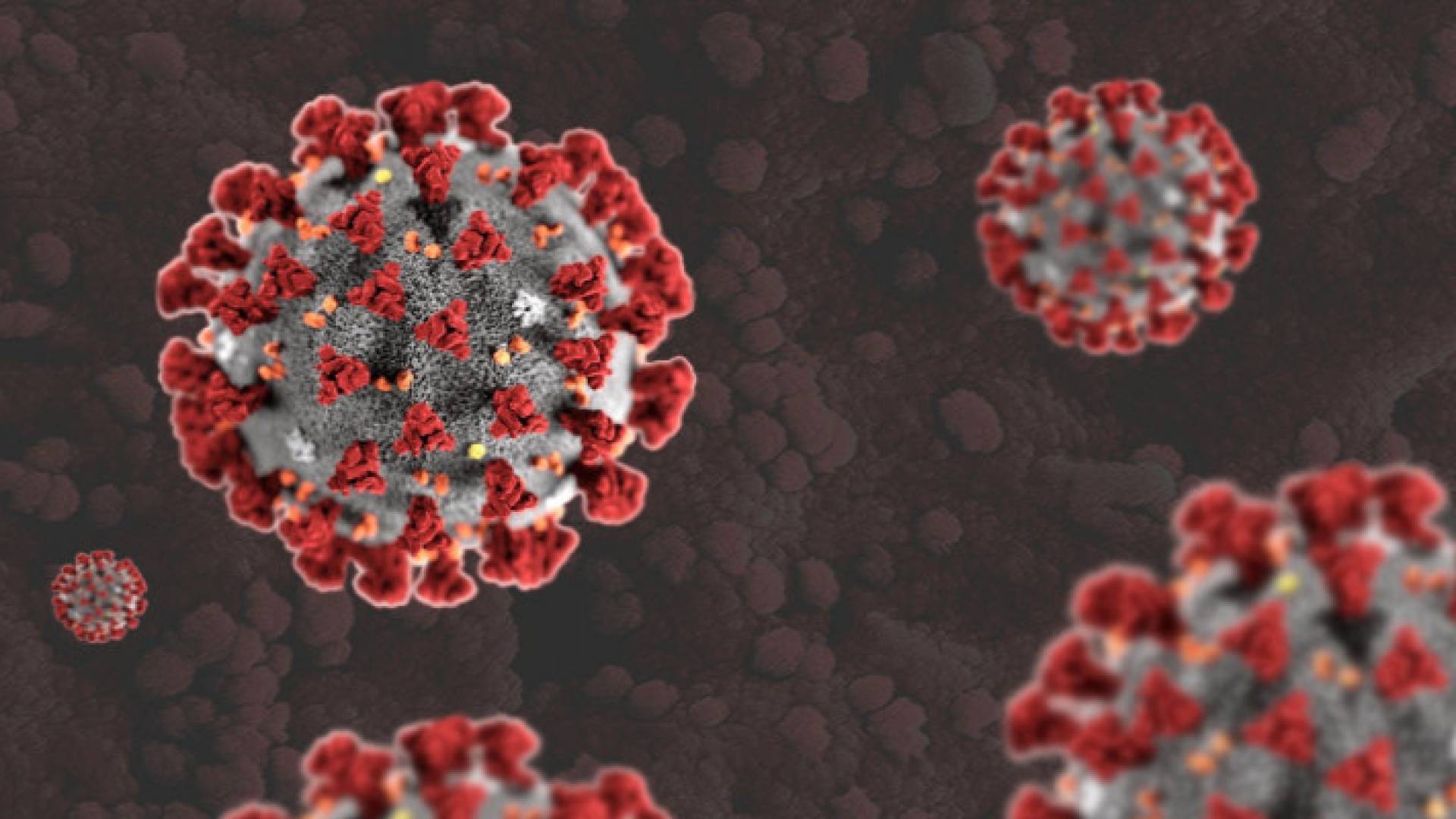 Image 1 from gallery